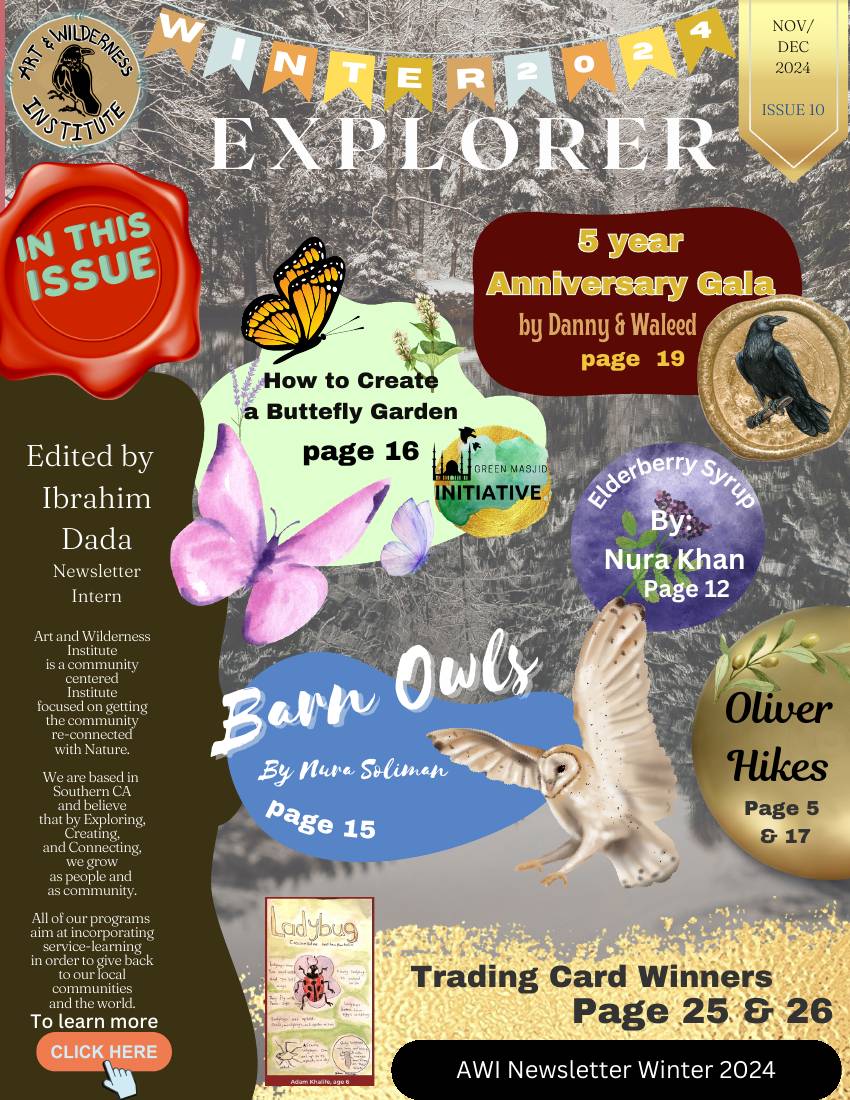 The Wild Explorer, Issue 10