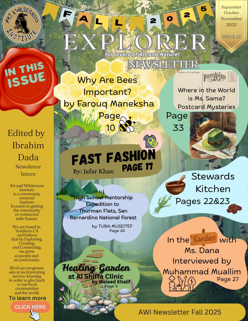 The Wild Explorer, Issue 12, cover