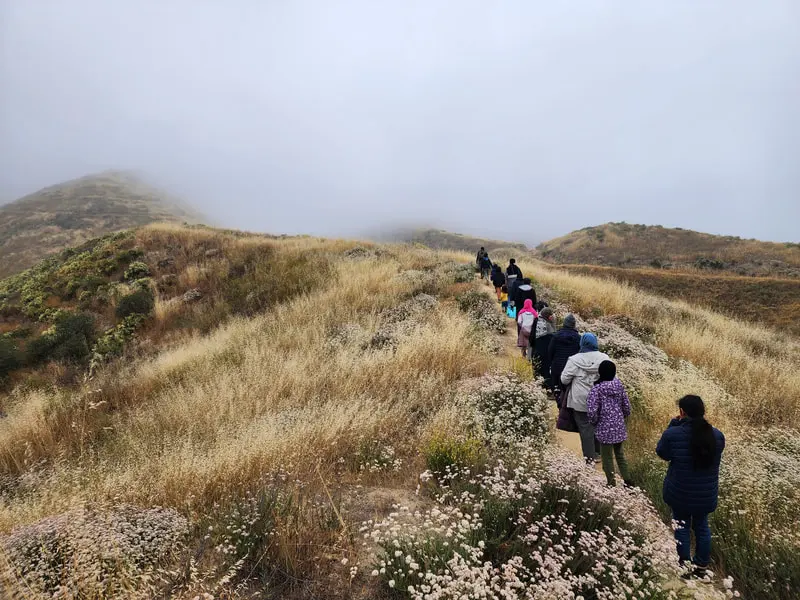 The AWI community hiking a wildflower-lined trail into the hills